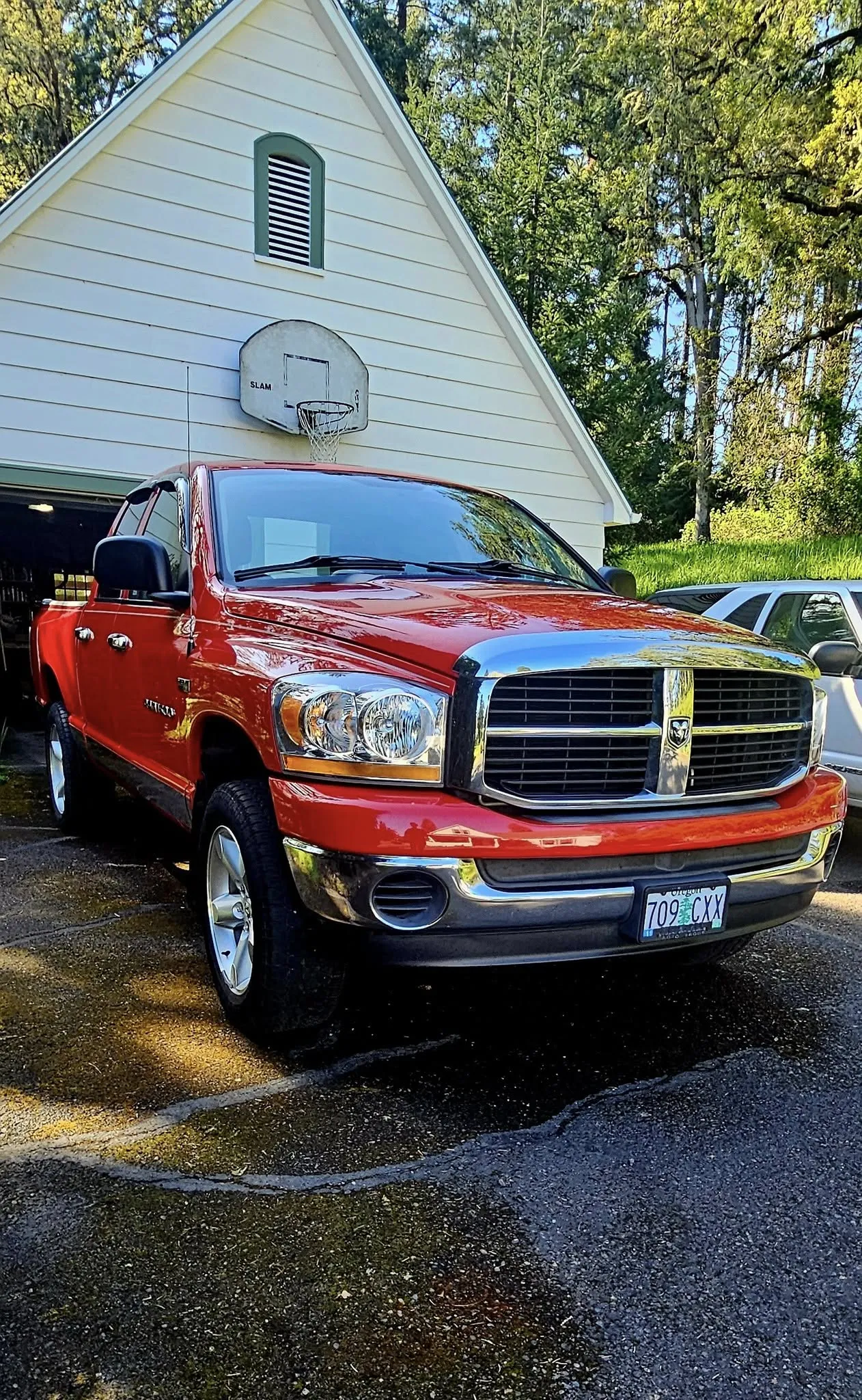 Professional Auto Detailing